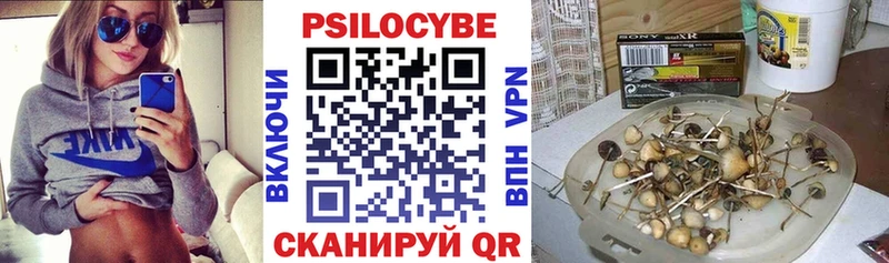 mega вход  Майкоп  Псилоцибиновые грибы MAGIC MUSHROOMS 